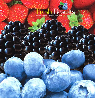 Fresh Results brochure